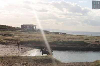Ostuni e Carovigno, quella costa "nuda e cruda" tra calette e natura selvaggia